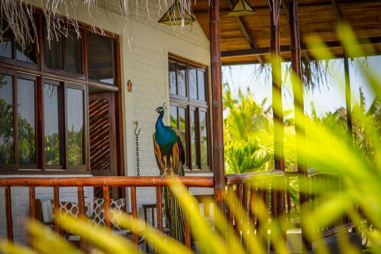La Choza Bungalows Tambo Grande Eksteriør bilde